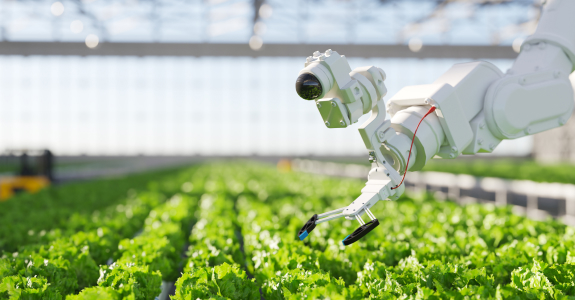 A robotic arm with a camera inspecting crops in a greenhouse.