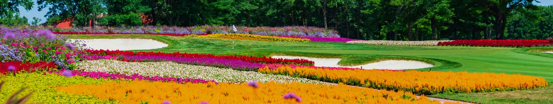 Flowers and sand traps around the 16th hole putting green at SentryWorld