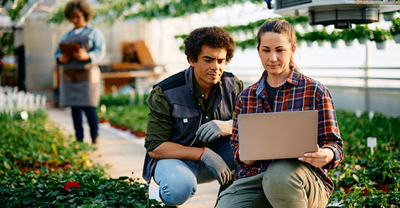 Two people on laptop in greenhouse