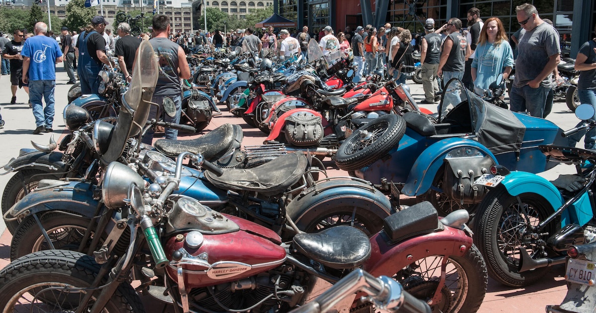 social-wild-ones-hd-museum-