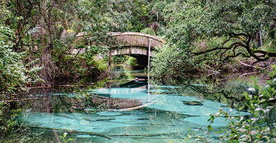 Juniper springs with wooden bridge at Ocala national forest in central Florida