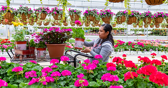 woman shopping with flowers