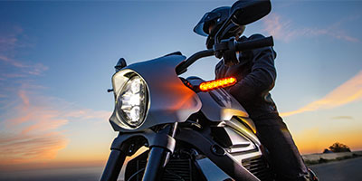 Motorcyclist looking out at the horizon