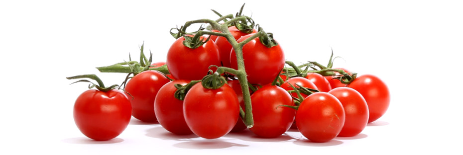tomatoes on vine