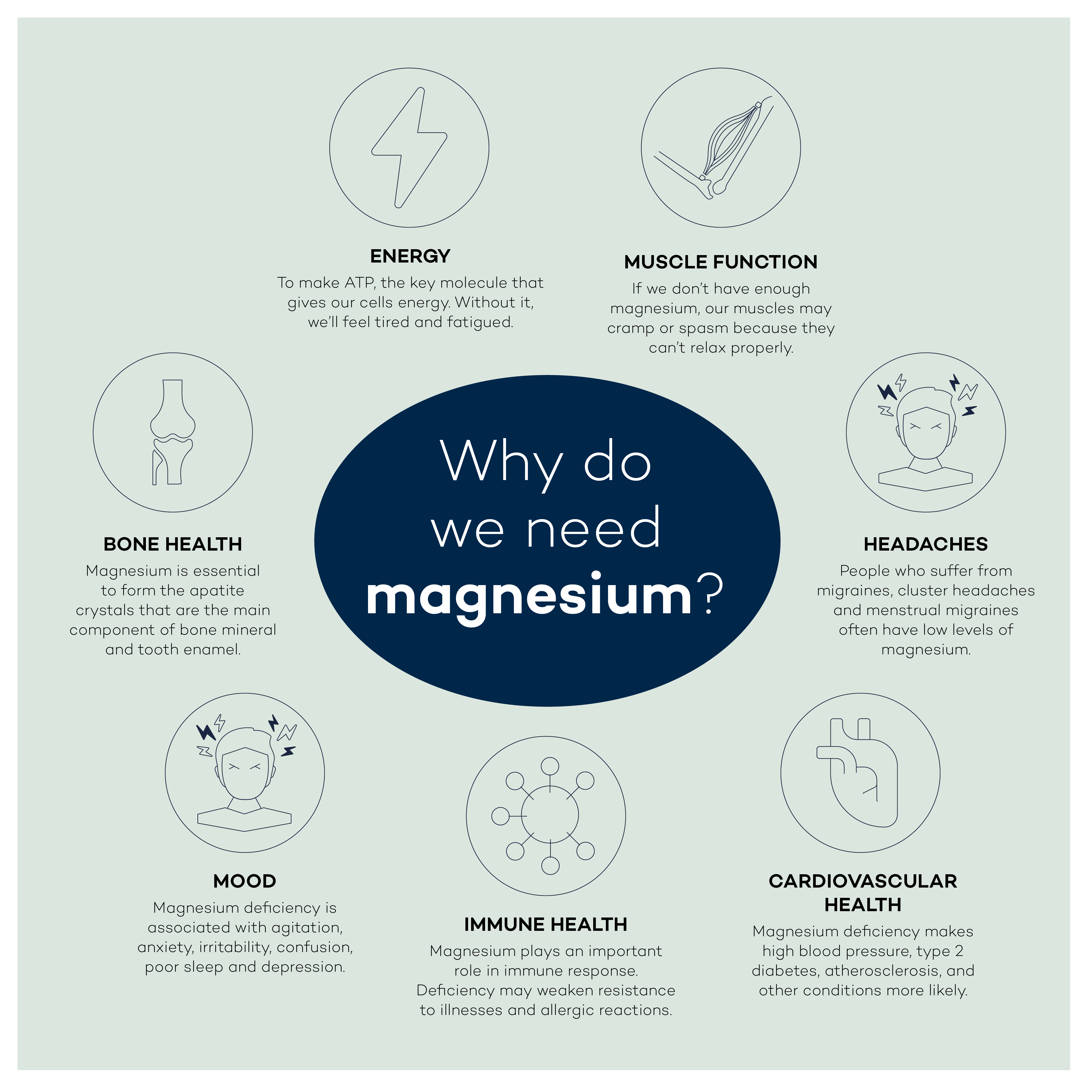 Why do we need magnesium graphic