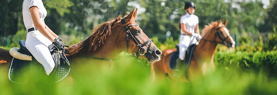 two women riding horses in field