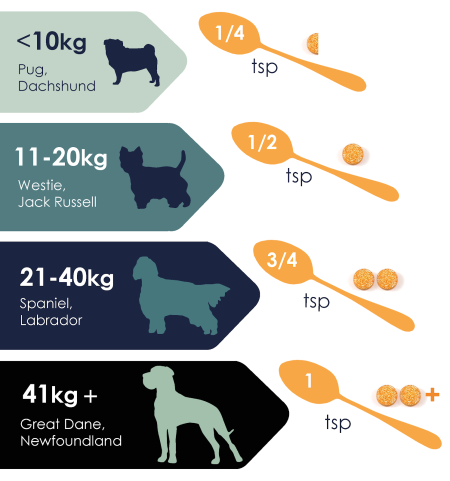 Turmeric Dosage for dogs of each size