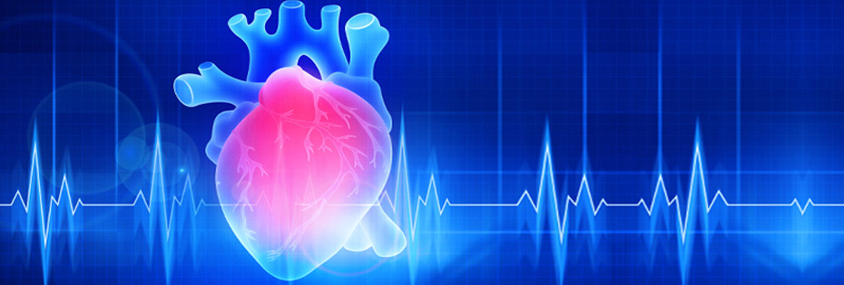 Love the beat: Your guide to a healthy heart