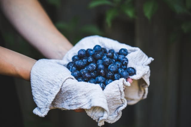 Blue berries close up