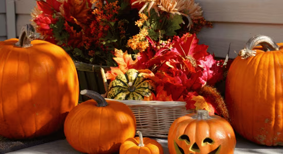 decoration-halloween-saint-martin