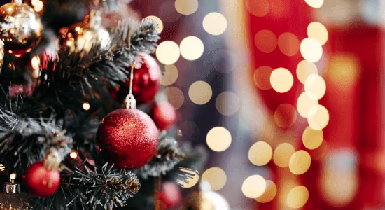 maison-du-pere-noel-saint-martin