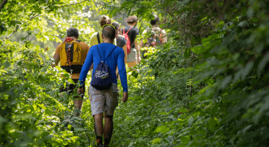 randonnées-a-saint-martin