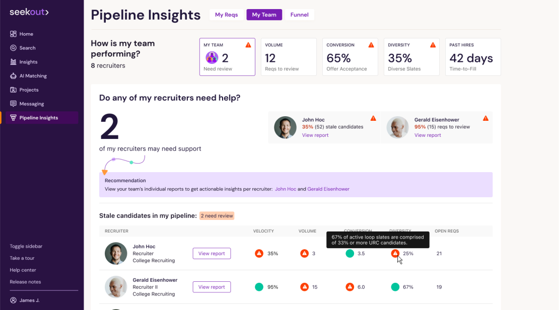 A screenshot of SeekOut's Pipeline Insights showing Manager View with high-level information on how the TA team is performing, which team members may need help, recommendations for action that can improve recruiting metrics, and a look at stale candidates in the pipeline that need attention; plus, we see how data is annotated by tooltips when hovering over certain information.