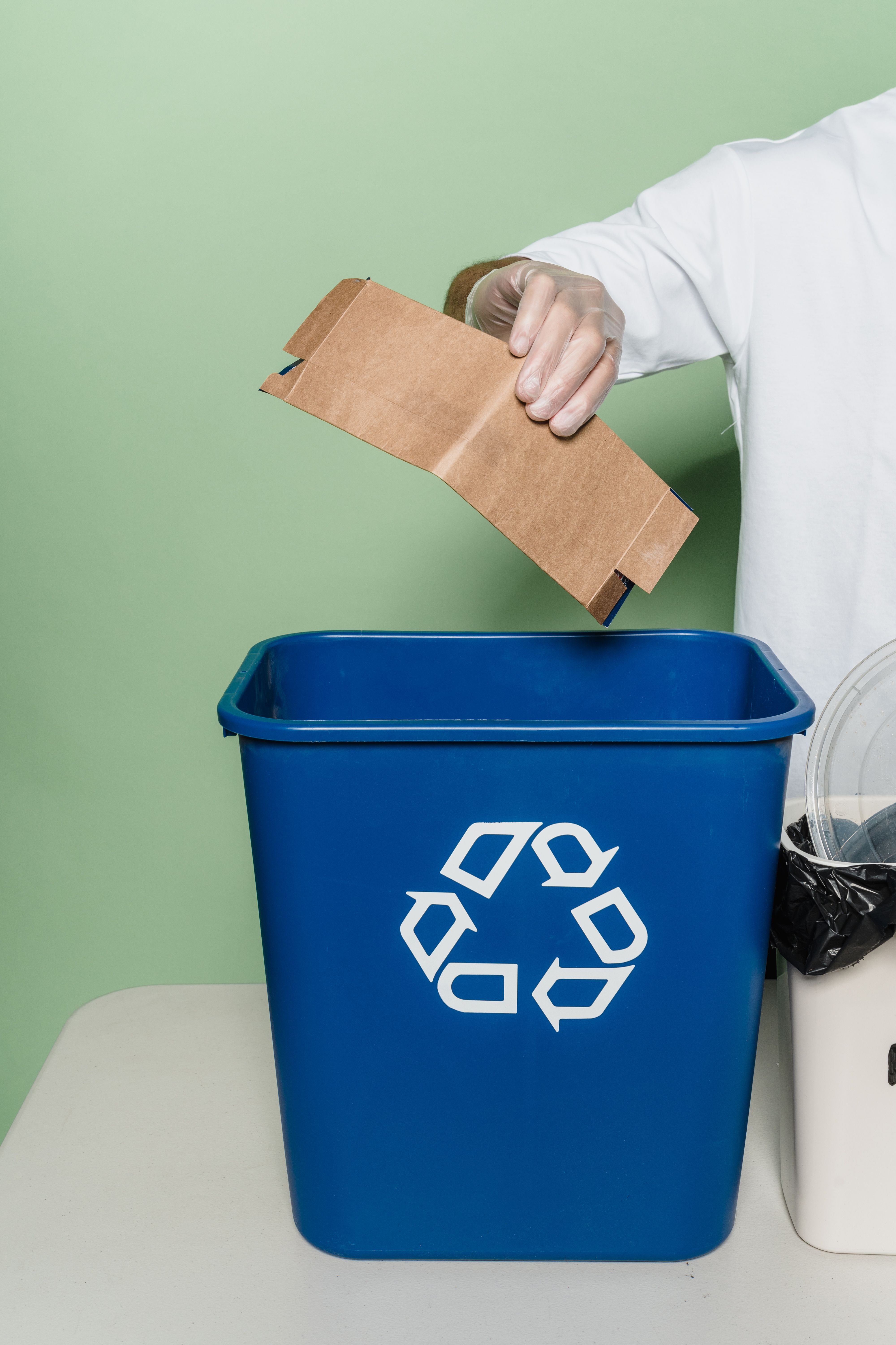 Déchets organiques : restes alimentaires, marc de café, déchets verts