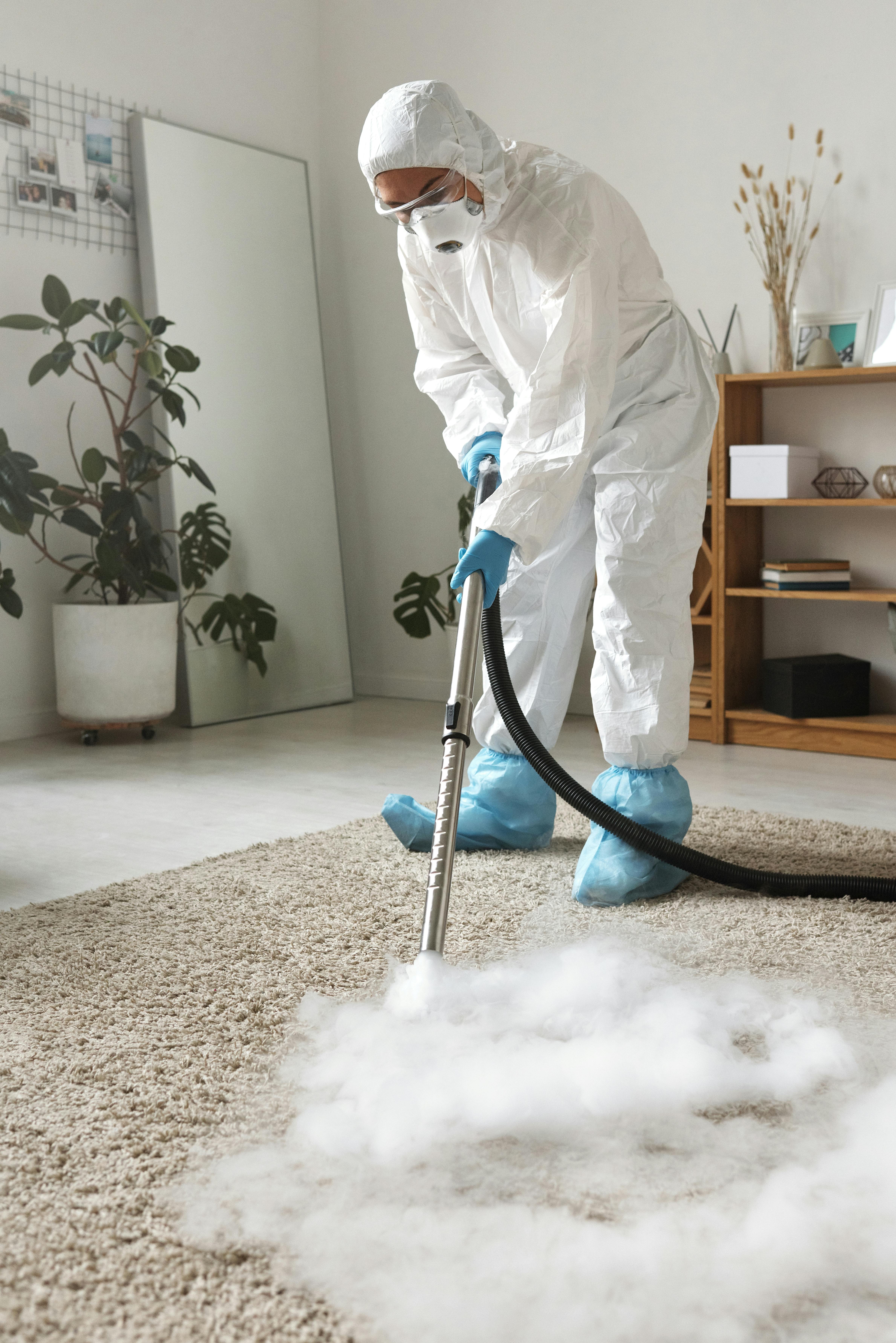 Comment nettoyer vos tapis et moquettes en profondeur : shampoing, conseils et astuces