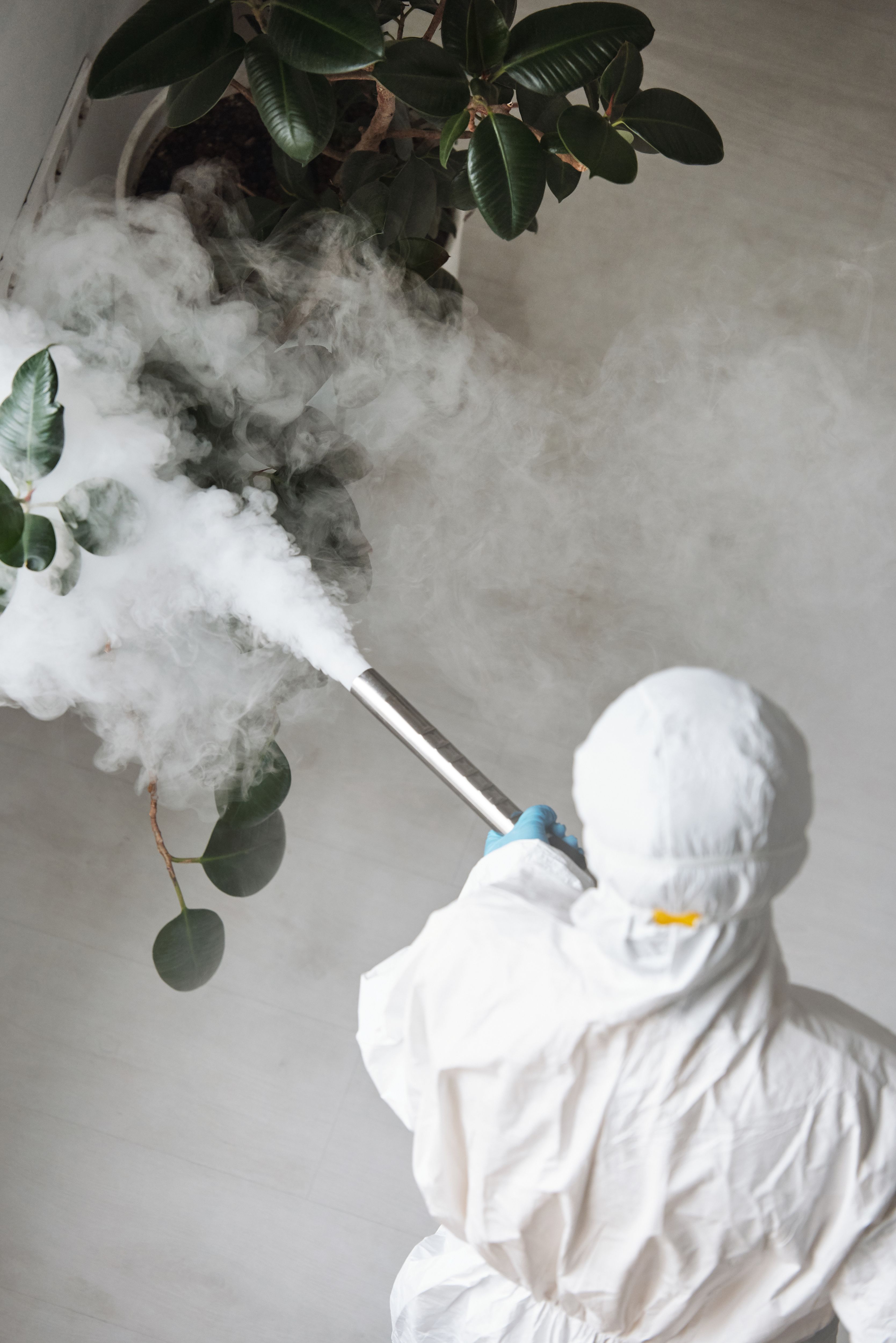 Application par pulvérisation, brumisation ou essuyage d’un produit bactéricide certifié