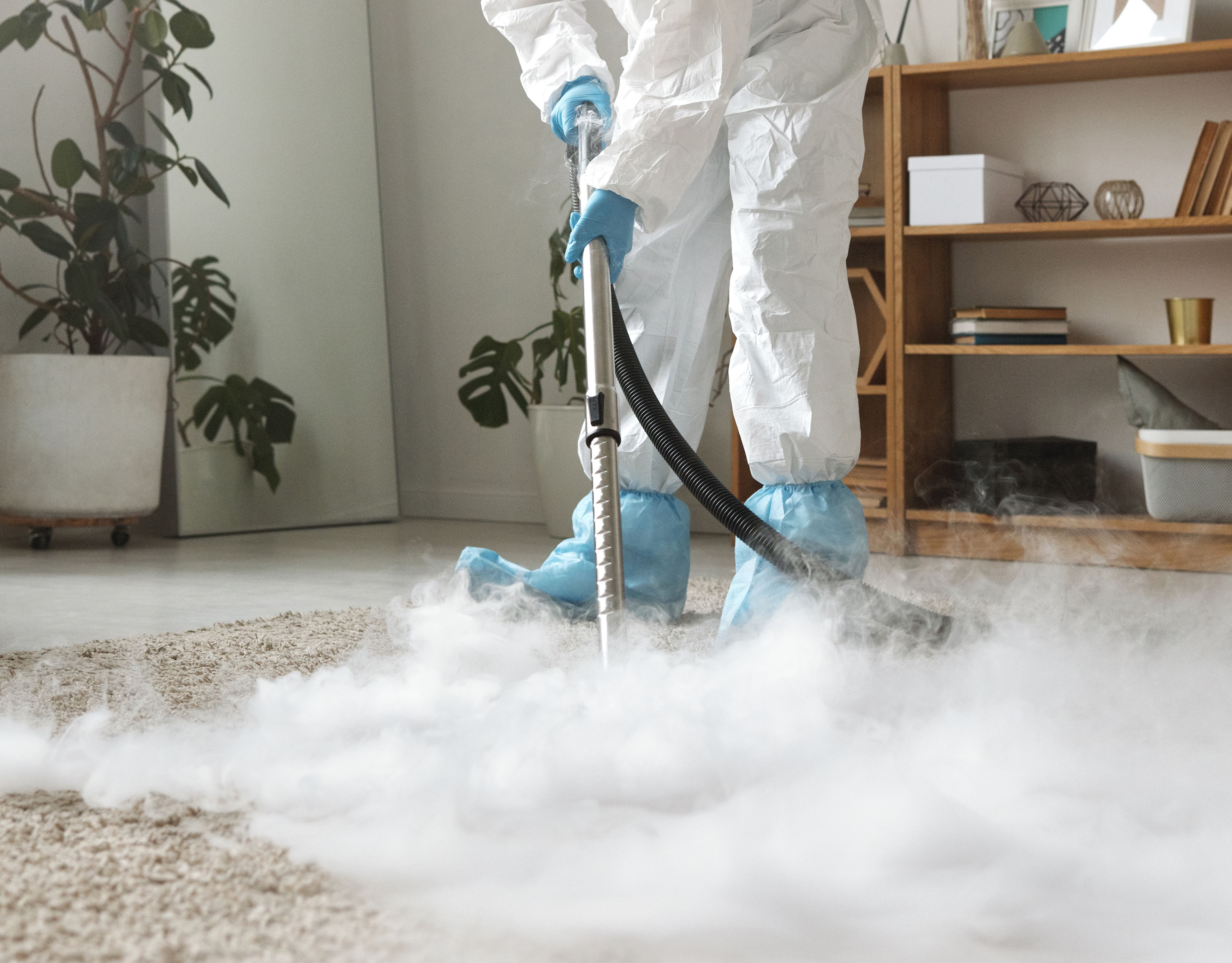 Comment désinfecter votre moquette de manière efficace ?