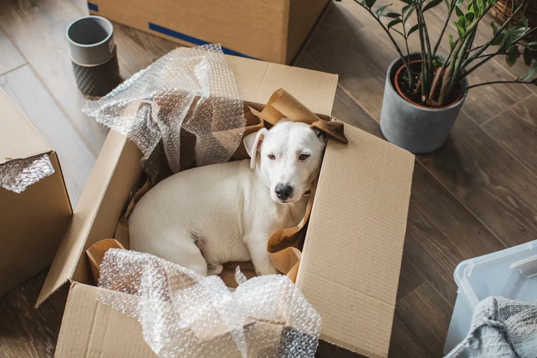 Moving To Do List | Purplebricks SmartMove+