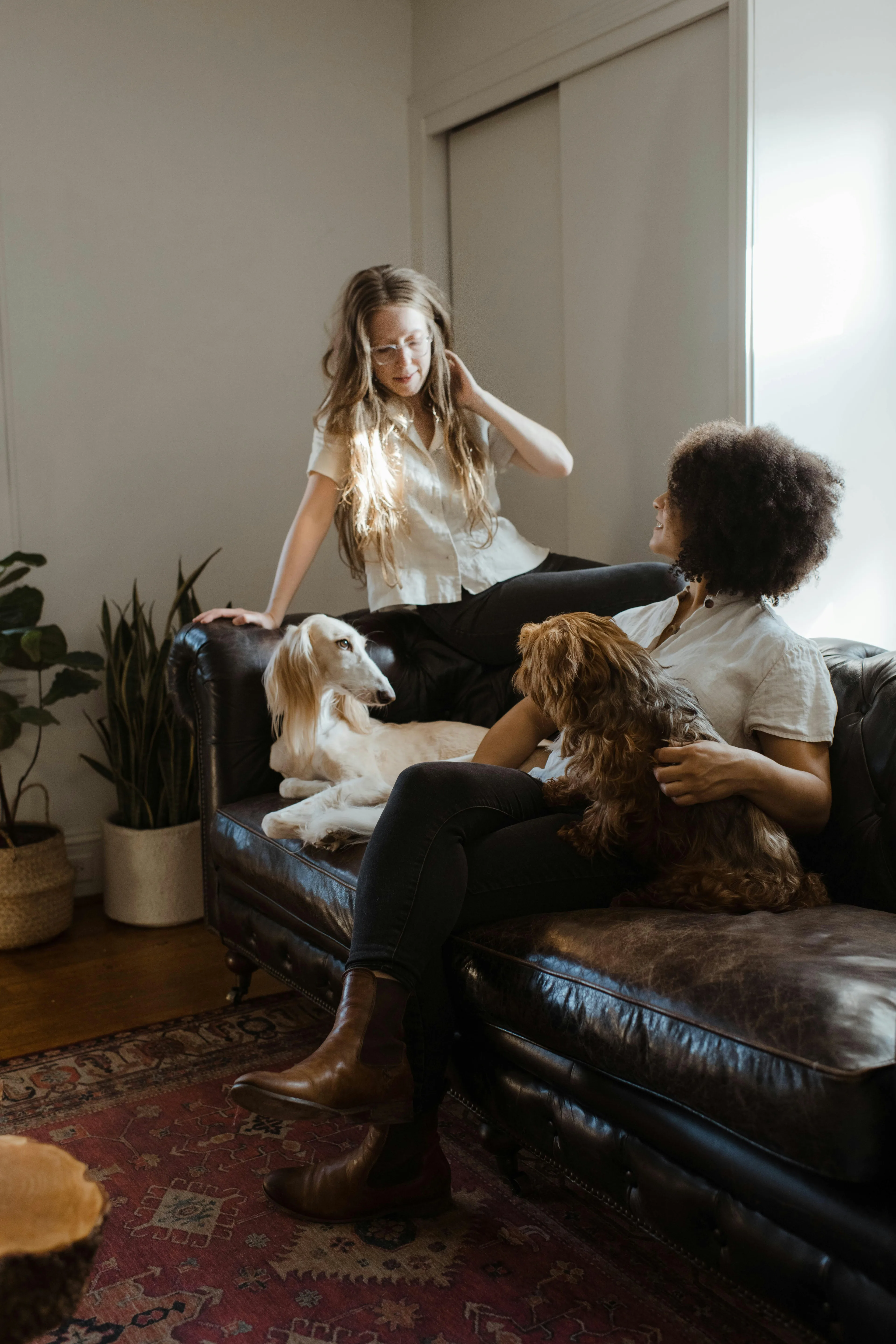 two people on sofa with two dogs