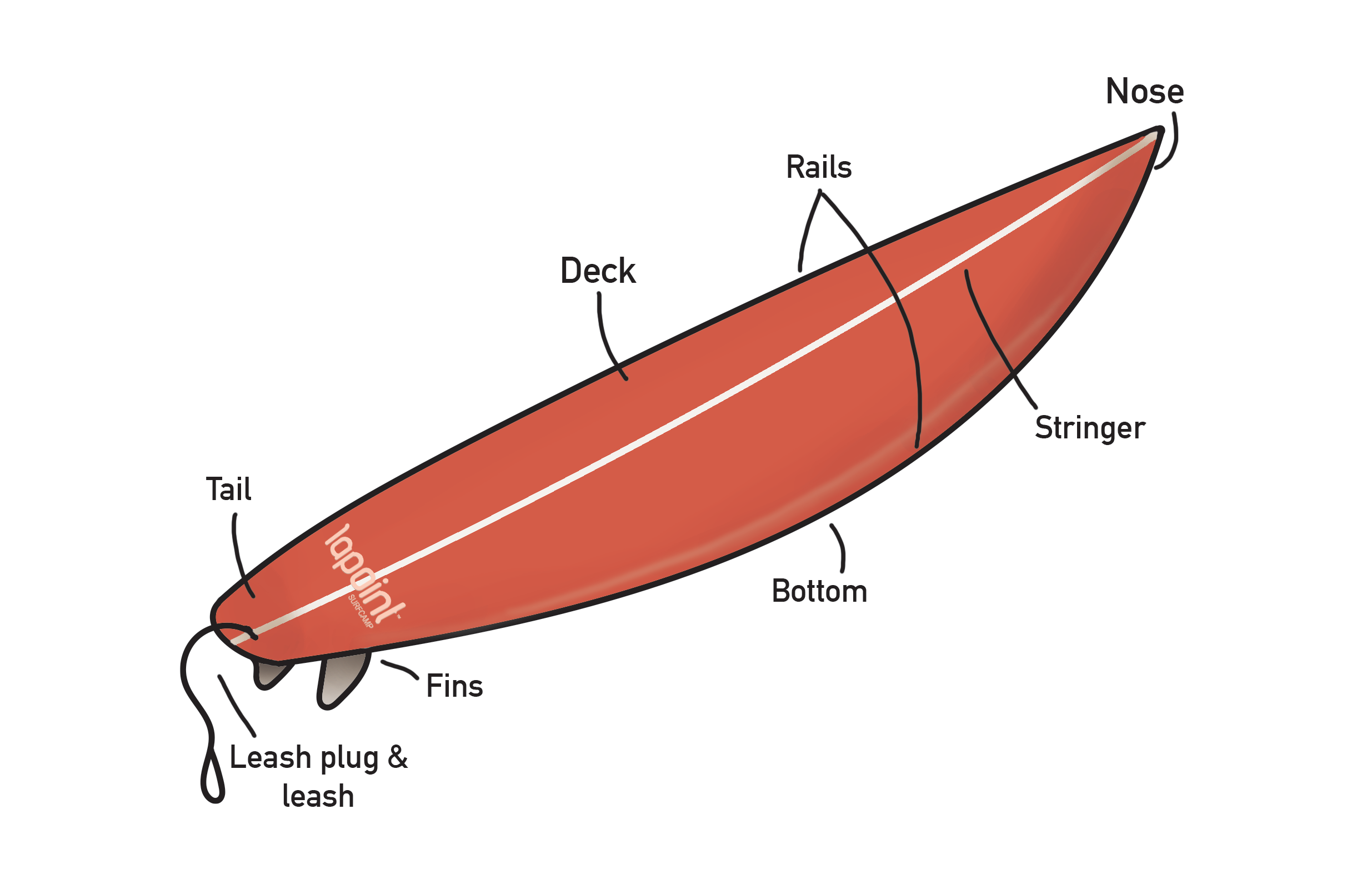 Surfboard anatomy – what are the parts of a surfboard and what do they do?  - Lapoint Surf camps