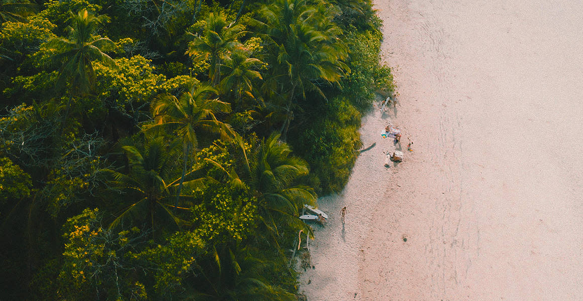 ocean lapoint surfcamp beach jungle