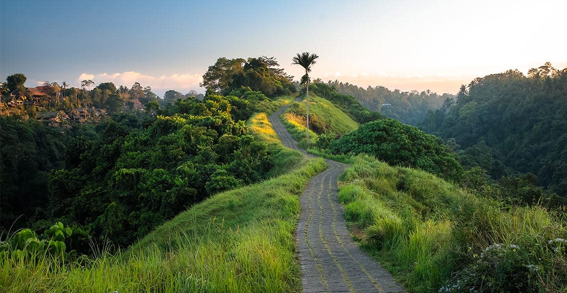 Bali road on the top of the jungle mountain