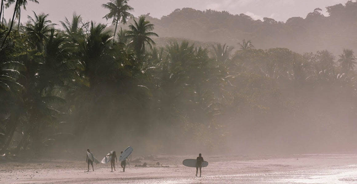 costa rica beach jungle mist