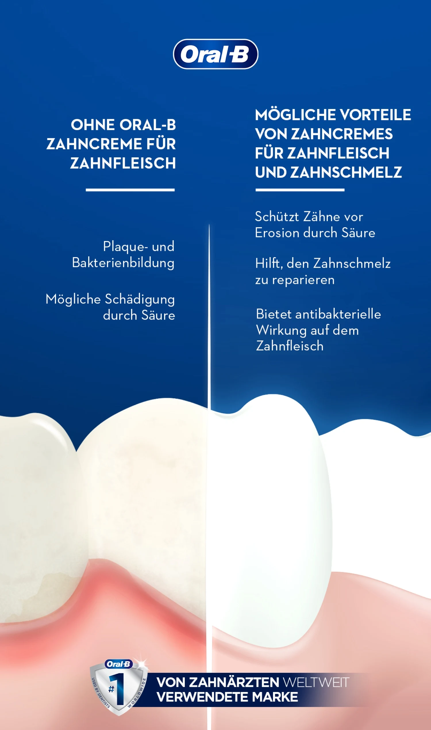 Gum & Enamel Toothpaste Benefits_infographic