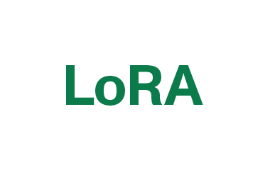 LoRA is a process for fine tuning pre-trained LLMs.