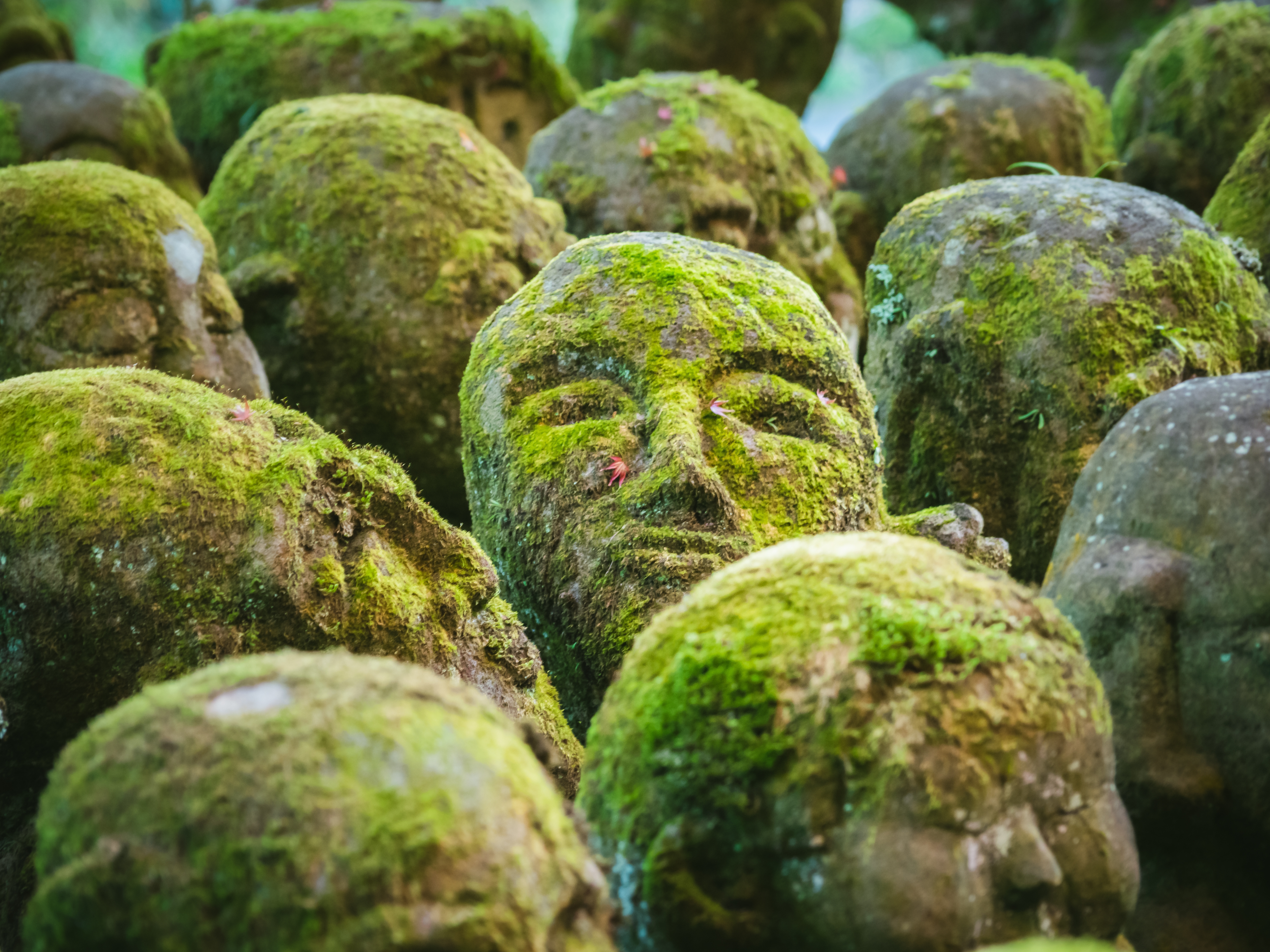 Head sculpture in nature