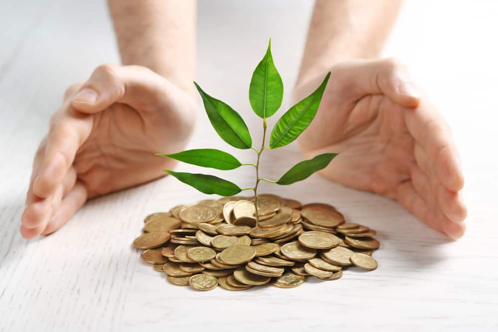 Hands and plant sprouting from a handful of coins