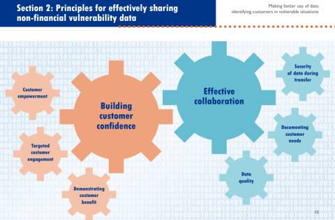 graphic - principles for sharing non-financial vulnerability data
