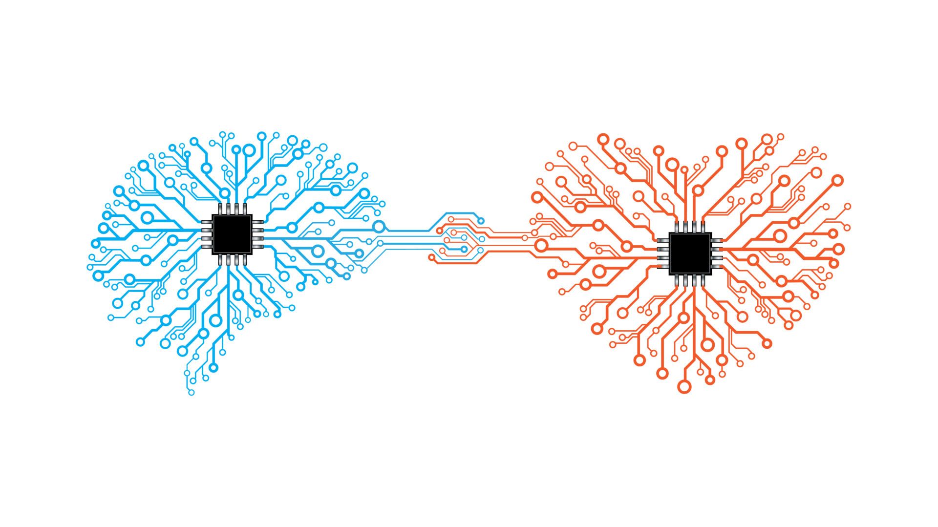 Vector printed circuit board human brain and heart.