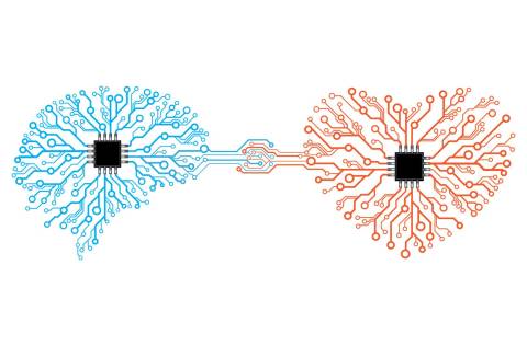 Vector printed circuit board human brain and heart.