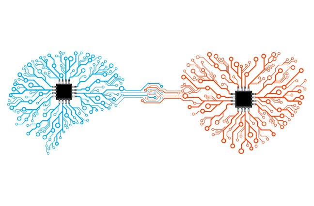 Vector printed circuit board human brain and heart.