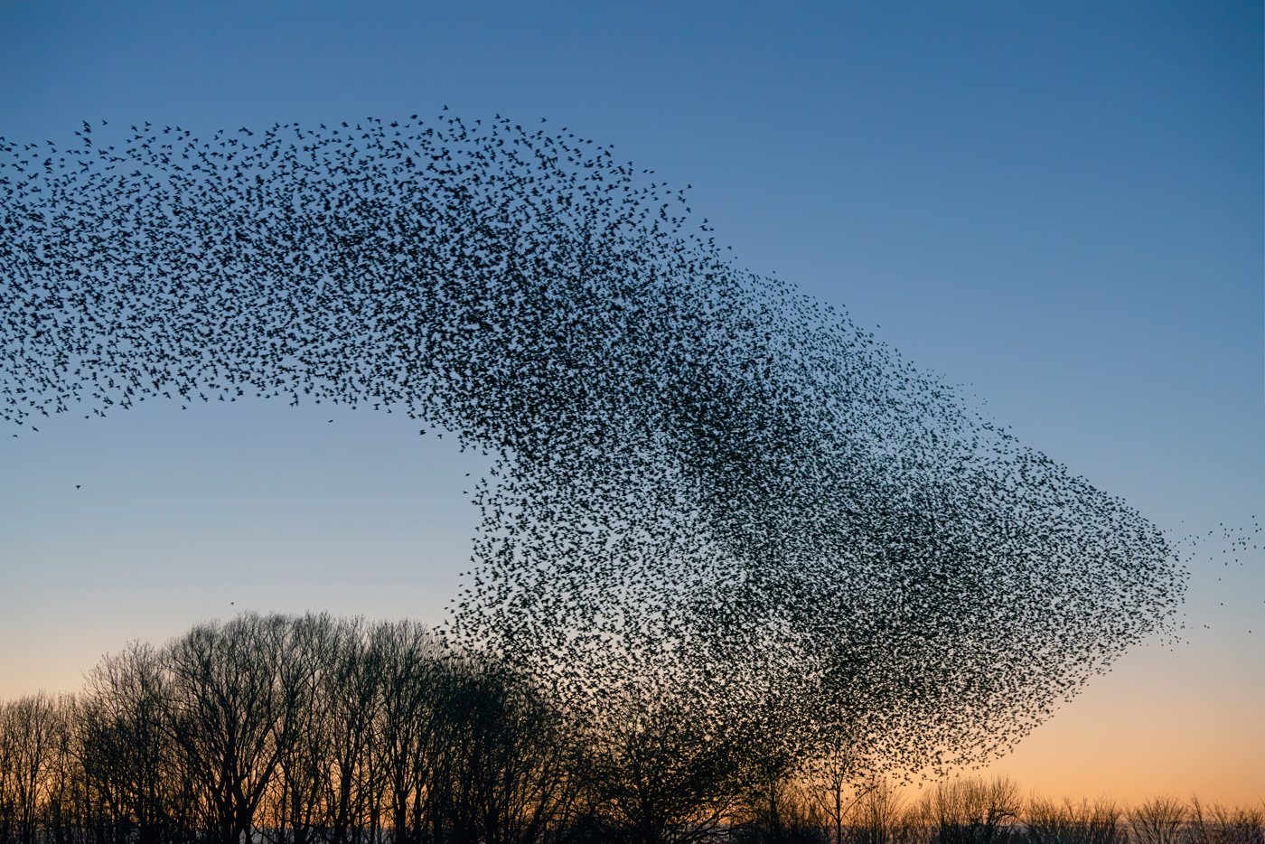 Responsible AI intro image