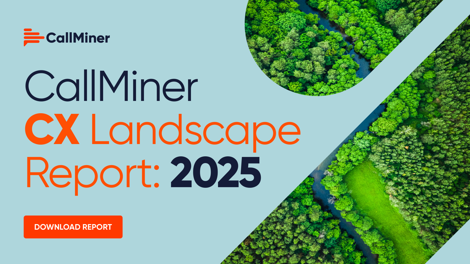 CX Landscape Report 2025 blog image