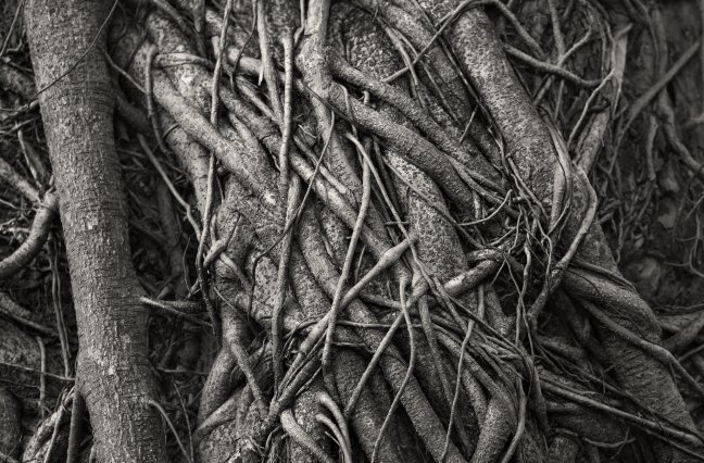 29 examples of AI use in data analytics | CallMiner