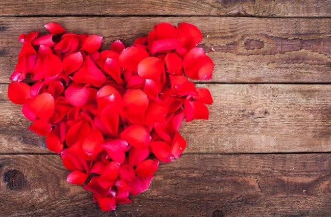 heart made of rose petals on wood background