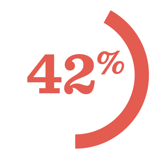 42 Percent Icon