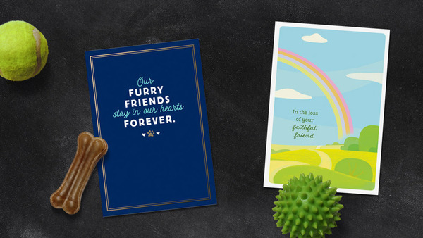 Pet Sympathy Cards with Props