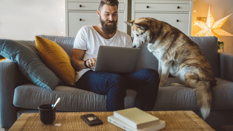 L male with beard on couch dog laptop