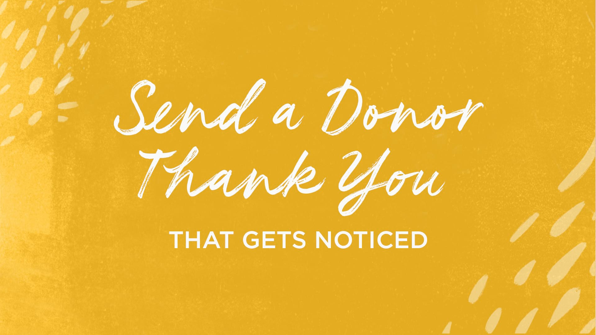 Send a Donor Thank You ARTICLE HERO IMAGE