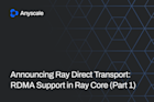 Ray Direct Transport