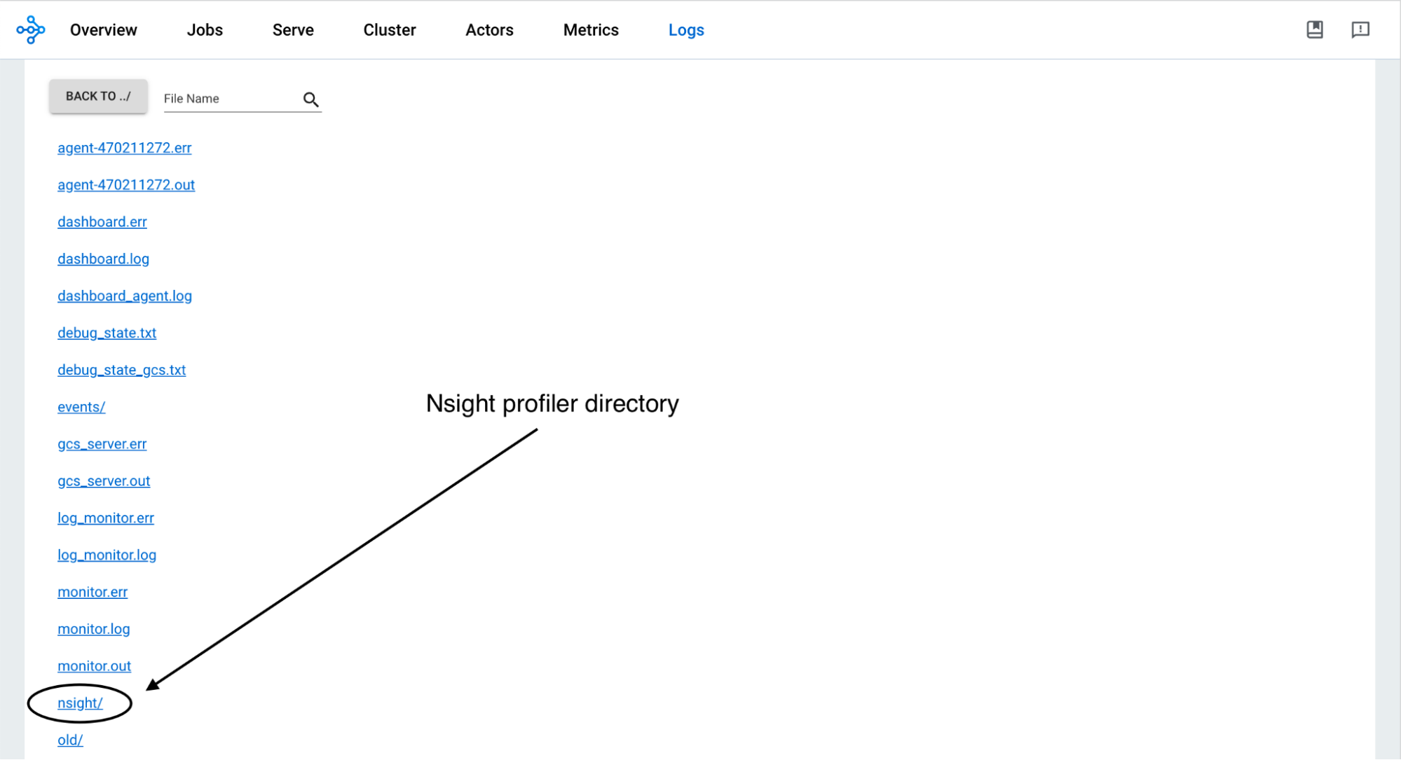 nsight-profiler-directory