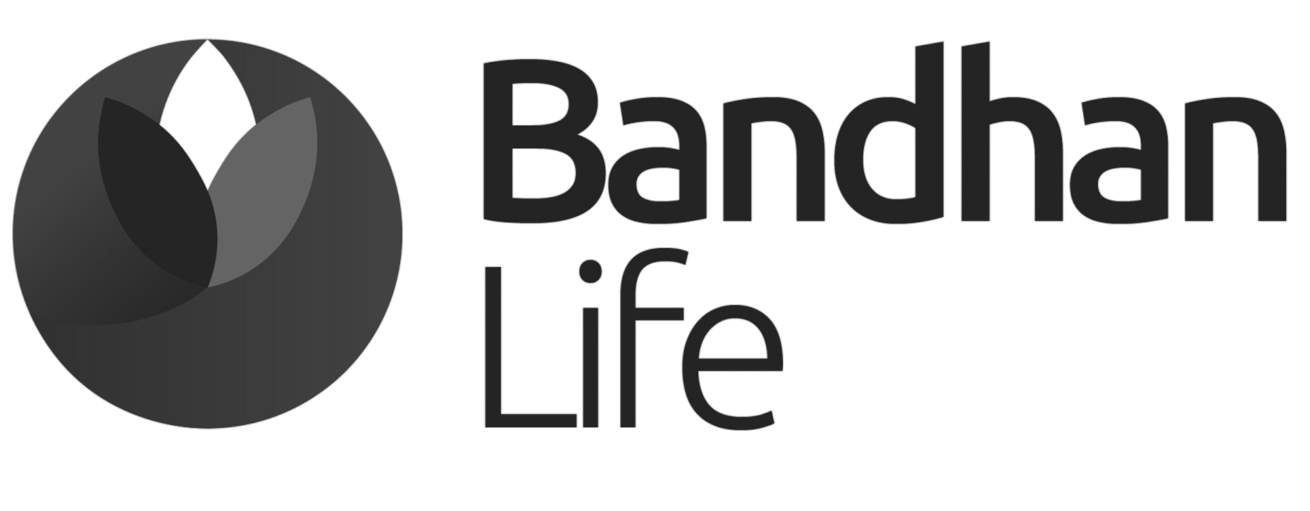 Bandhan Life Logo Black