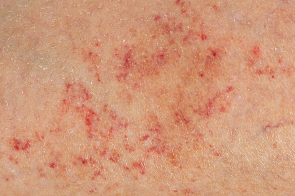 shutterstock_1995229445-1-1-1024x683.jpg