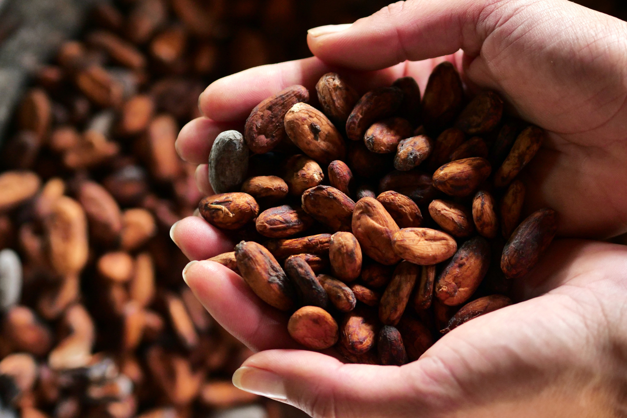 Cacao – Not Just a Trendy Ceremonial Drink