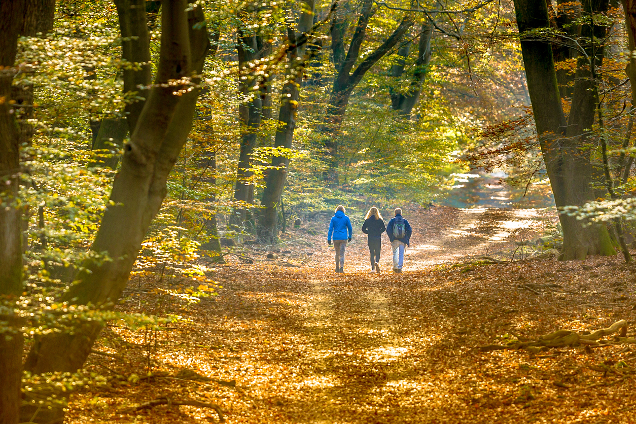 Breathwalk – promenera och andas dig till bättre hälsa!