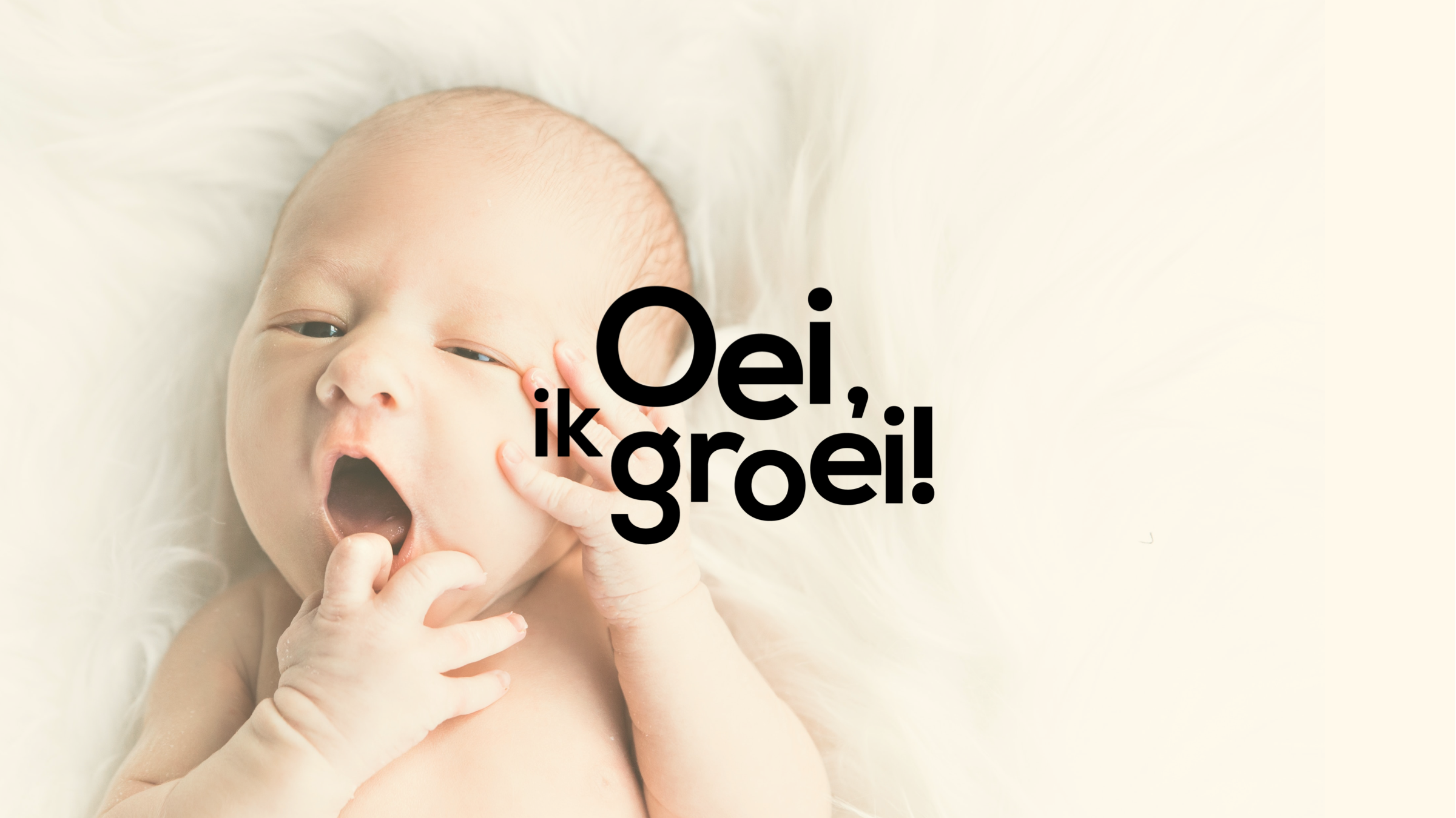 OEIJKE Groei office